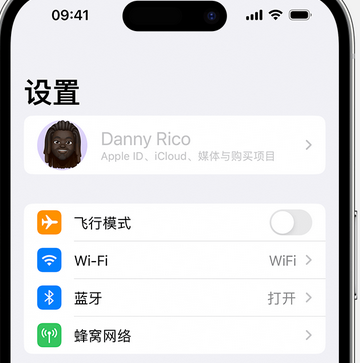 禹州appleID维修服务iPhone设置中Apple ID显示为灰色无法使用 