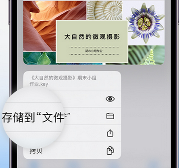 禹州apple维修中心分享iPhone文件应用中存储和找到下载文件