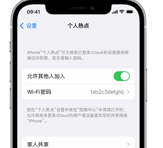 禹州apple服务站点分享iPhone上个人热点丢失了怎么办 