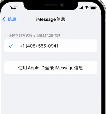 禹州apple维修iPhone上无法正常发送iMessage信息 