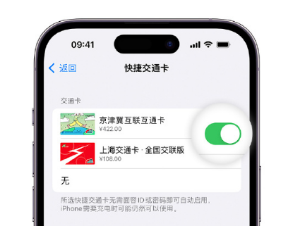 禹州apple维修点分享iPhone上更换Apple Pay快捷交通卡手绘卡面 