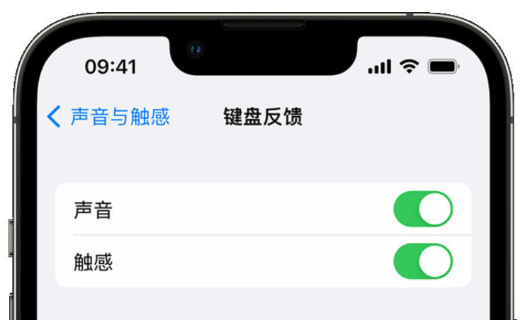 禹州苹果手机维修分享iPhone 14触感键盘使用方法 