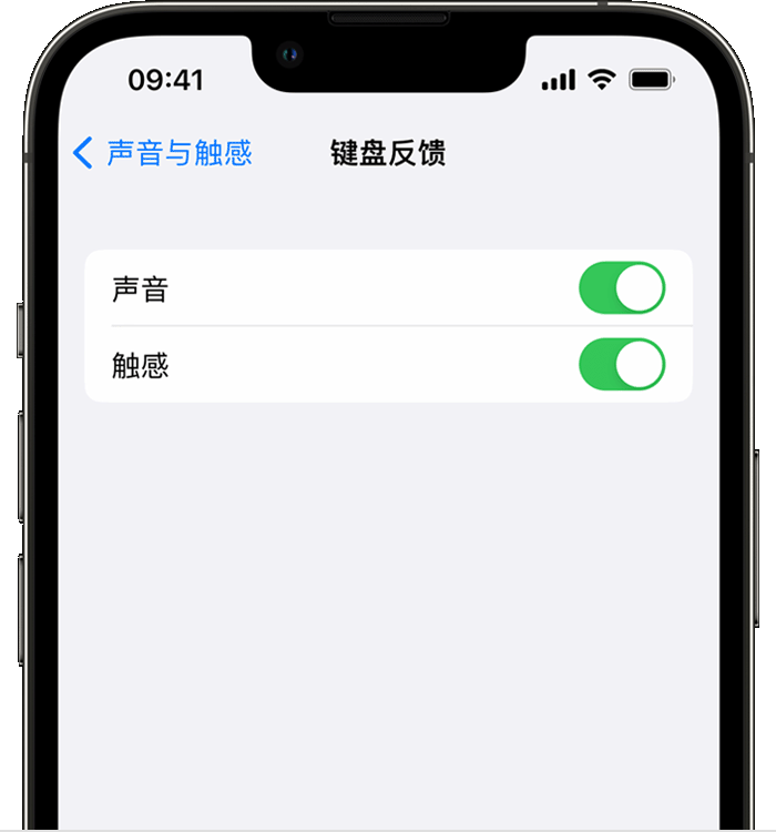 禹州苹果14维修店分享如何在 iPhone 14 机型中使用触感键盘 