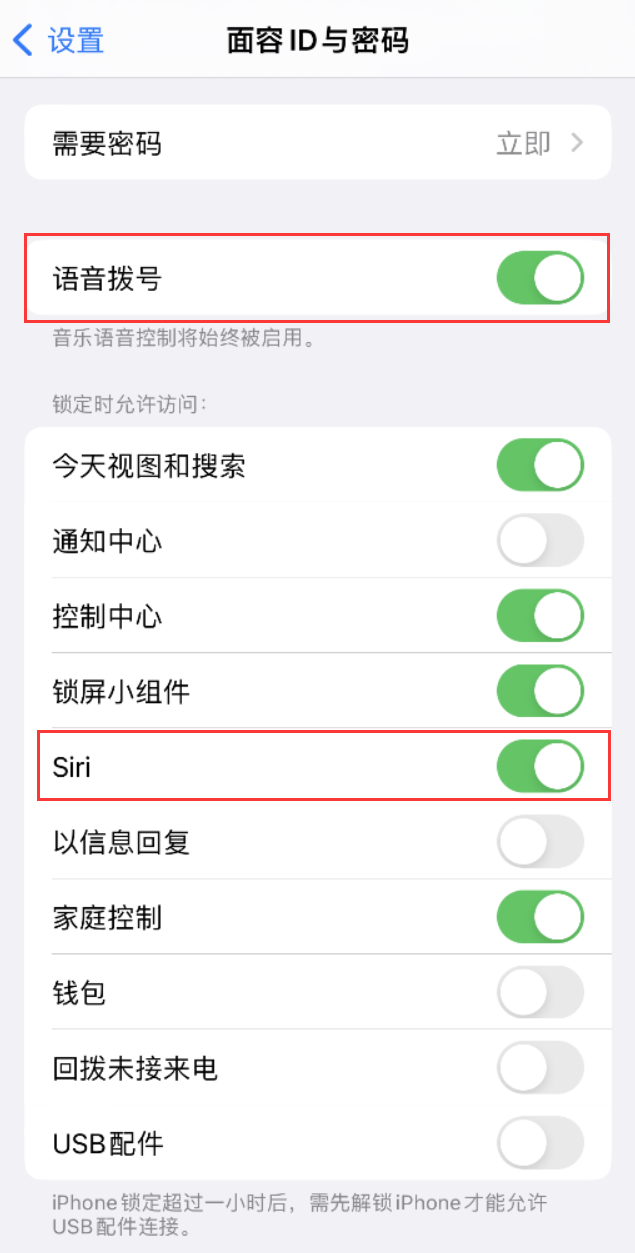 禹州苹果维修网点分享不解锁 iPhone 的情况下通过 Siri 拨打电话的方法 