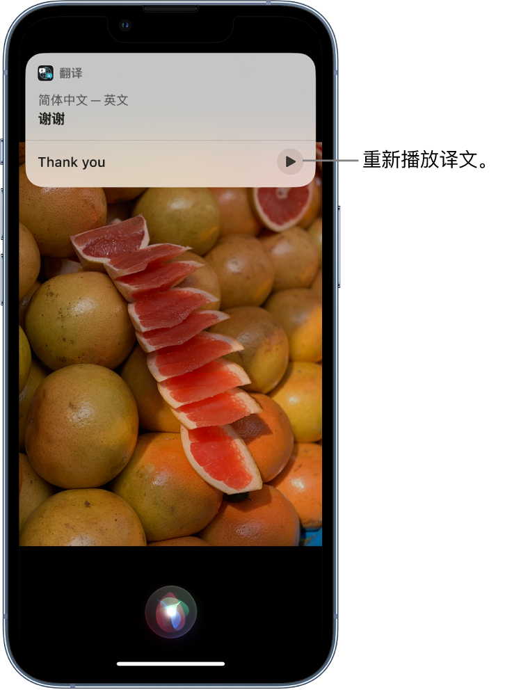 禹州苹果14维修分享 iPhone 14 机型中使用 Siri：了解 Siri 能帮你做什么 