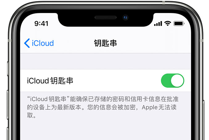 禹州苹果手机维修分享在 iPhone 上开启 iCloud 钥匙串之后会储存哪些信息 