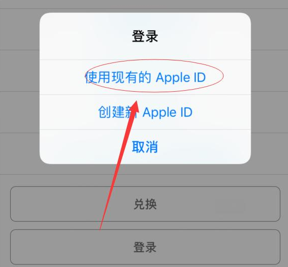 禹州苹果手机维修分享两台iPhone设备可以同时登录一个Apple ID吗 