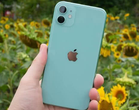 禹州苹果维修点分享iPhone 11锁屏密码认知与使用科普 
